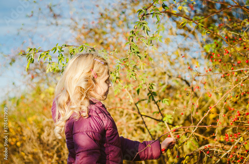 lovely child in magic colorful autumnal rural countryside