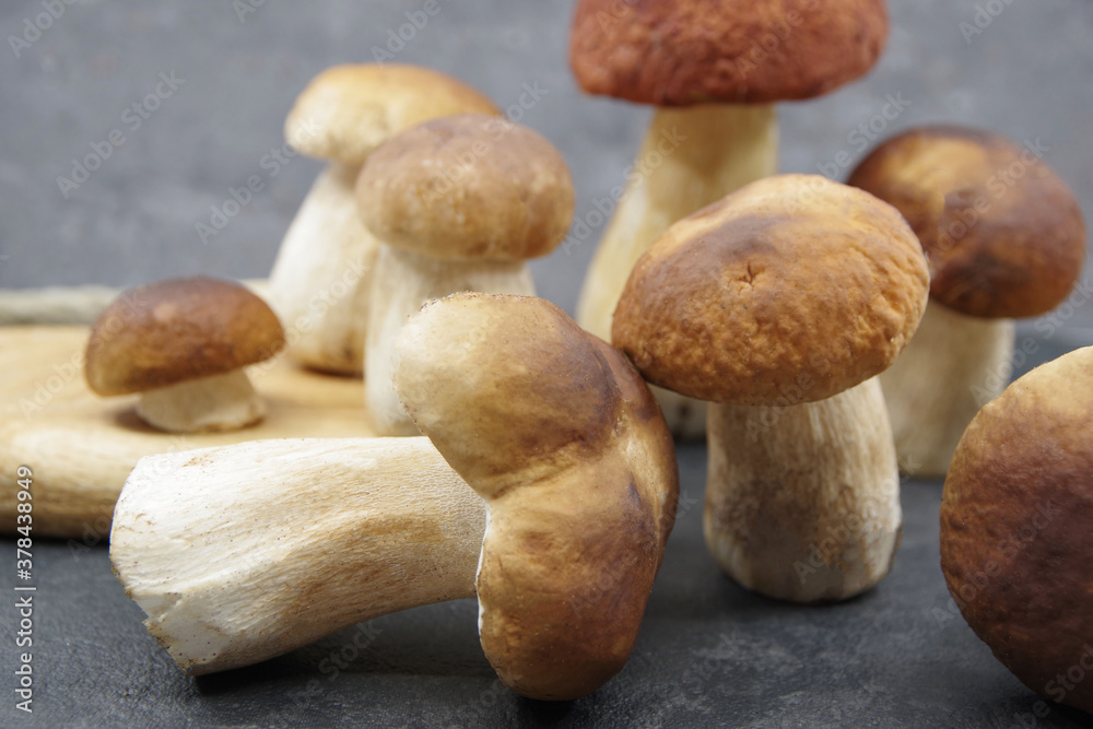 Boletus mushrooms prepared for cooking. Boletuson on a wooden tray. Boletus edulis. Closeup Boletus mushrooms prepared for cooking. Boletuson on a wooden tray. Boletus edulis. Closeup