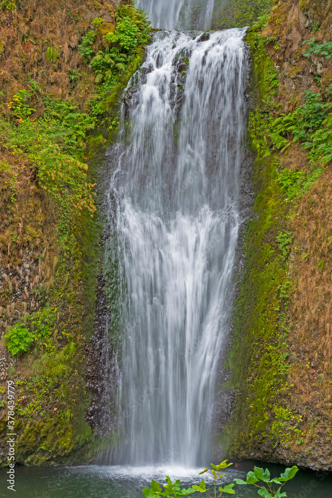Tumbling Waters on a Volcanic Cliff