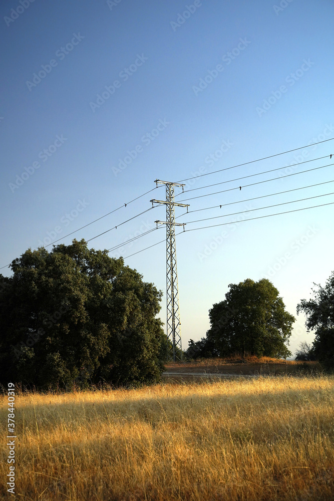 Electrical tower