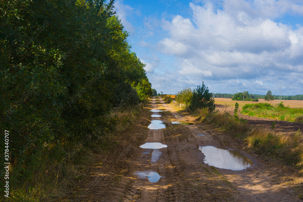 Rural landscape, muddy field road covered with puddles among fields and trees and shrubs, sun, summer beauty, blue sky and clouds