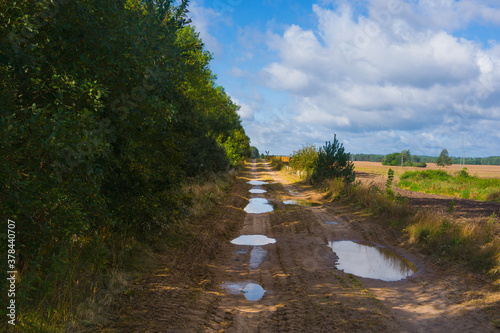 Obraz na płótnie Rural landscape, muddy field road covered with puddles among fields and trees and shrubs, sun, summer beauty, blue sky and clouds w salonie