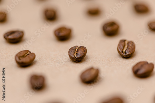 Coffee Bean Closeup