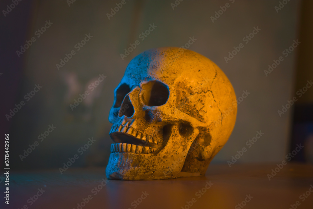 Halloween, skull on the table, dark background, horror, spooky, dark, dark