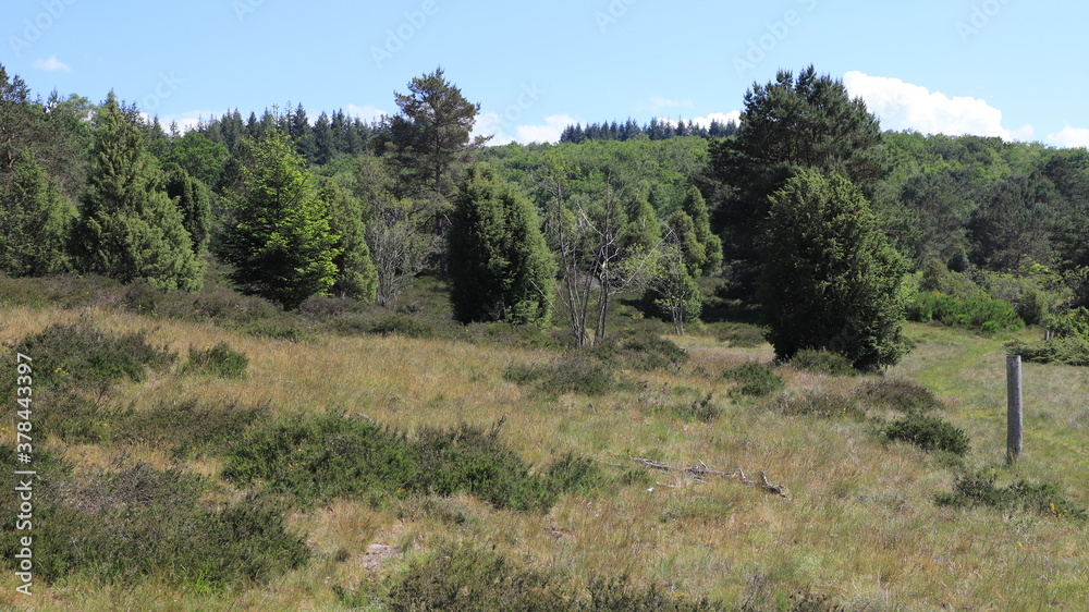 landes du plateau des mille vaches landes du plateau des mille vaches