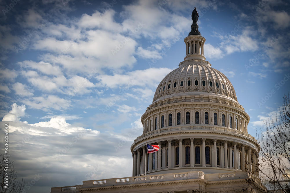 Obraz premium US Capitol 37