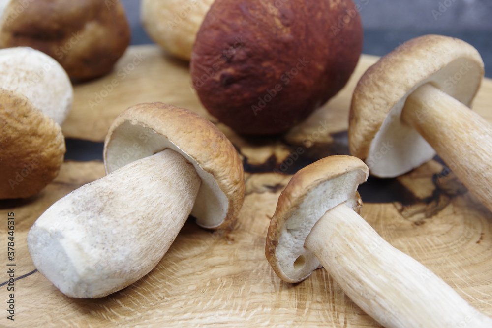 Boletus mushrooms prepared for cooking. Boletuson on a wooden tray. Boletus edulis. Closeup Boletus mushrooms prepared for cooking. Boletuson on a wooden tray. Boletus edulis. Closeup
