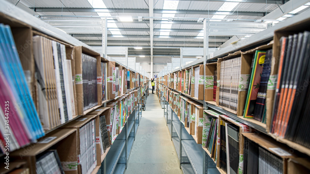 Neatly stacked records sit in rows on shelves at a warehouse ready for sale or distribution.
Neatly stacked records sit in rows on shelves at a warehouse ready for sale or distribution.