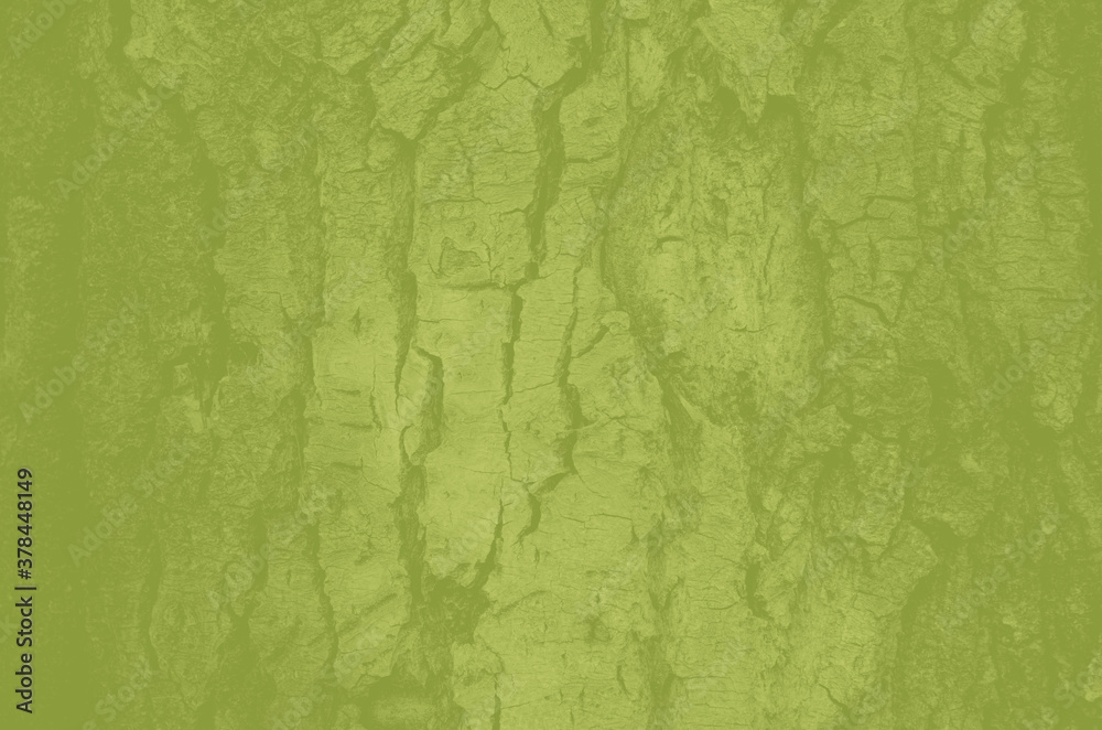 Fototapeta premium abstract olive and khaki colors background for design