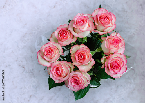 pink roses in a bouquet