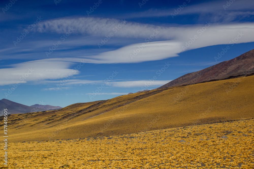Obraz premium The route of the 6 thousands meters. Between Chile and Tinogasta, Catamarca, Argentina there is this beautiful road. 