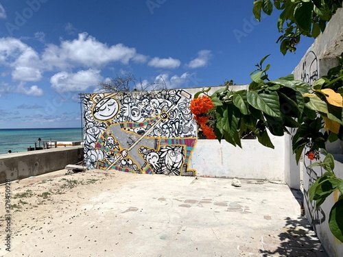 bright orange flower growing in the abandoned graffitied building near the sea