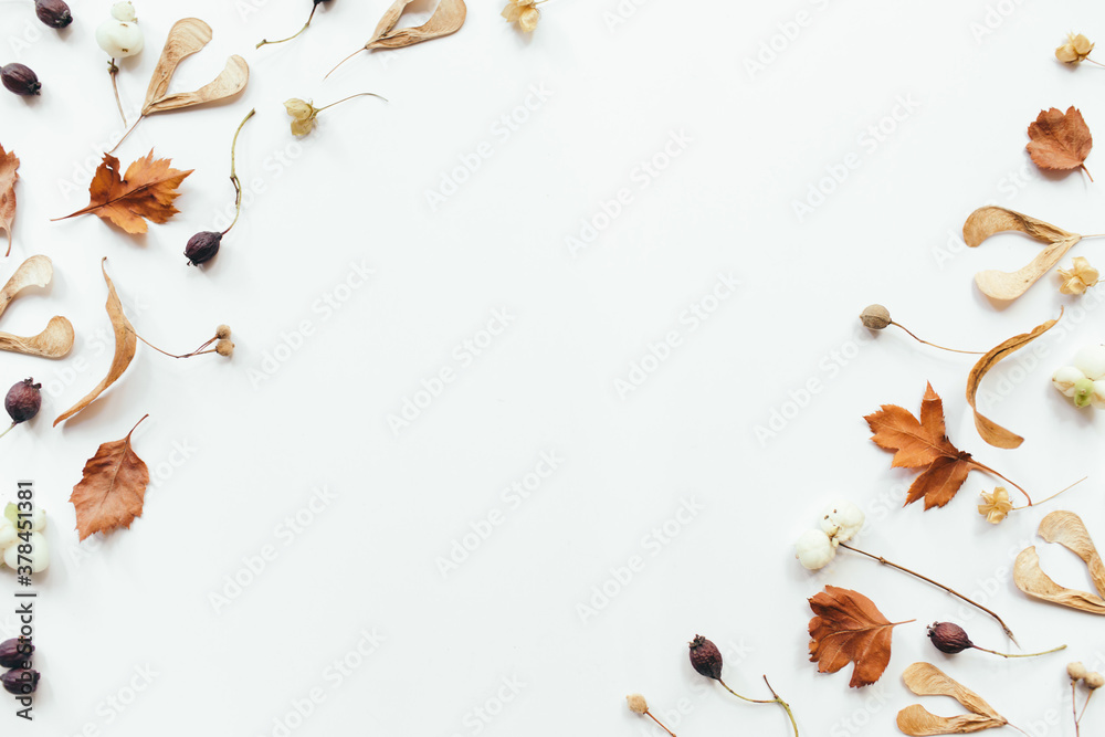 Autumn leaves on white background. Autumn, fall concept. Flat lay, top view, copy space