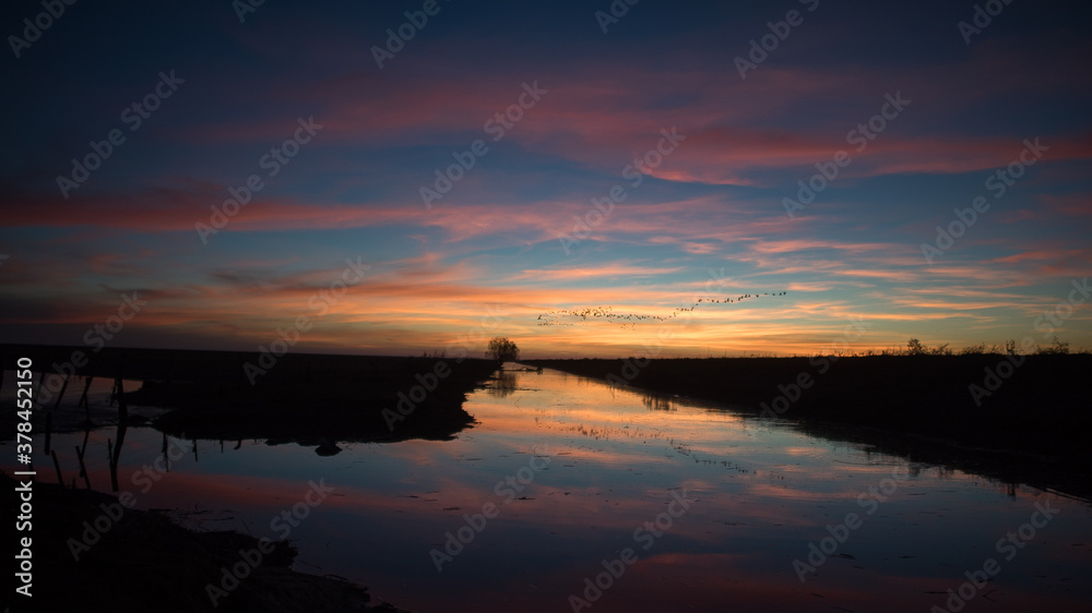 Obraz premium Sunset on a river, some birds fly and others rest, the sky is orange and blue.