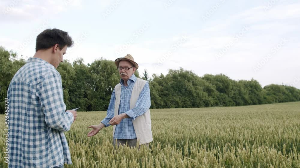 Senior farmer tells about experience to young man who uses tablet in wheat field Senior farmer tells about experience to young man who uses tablet in wheat field