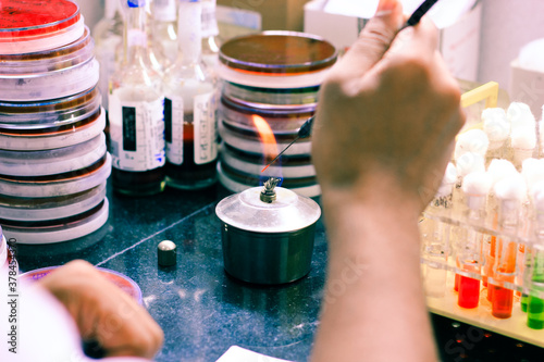Tablou pe pânză microbiological inoculation loop being heated in a spirit lamp flame for sterili