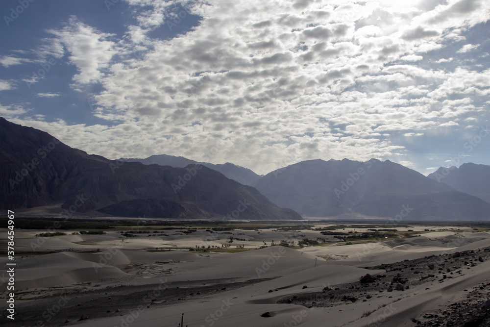 arid dry dessert sand dunes of nubra valley with himalayan barren mountain range in the background at ladakh, Kashmir, india