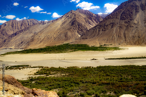 green sub himalayan vegetation below High dynamic range image of barren mountain in a desert with river in ladakh  Jammu and Kashmir  India