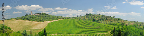 Large Panorama of Tuscan estate with grape vines and olive groves