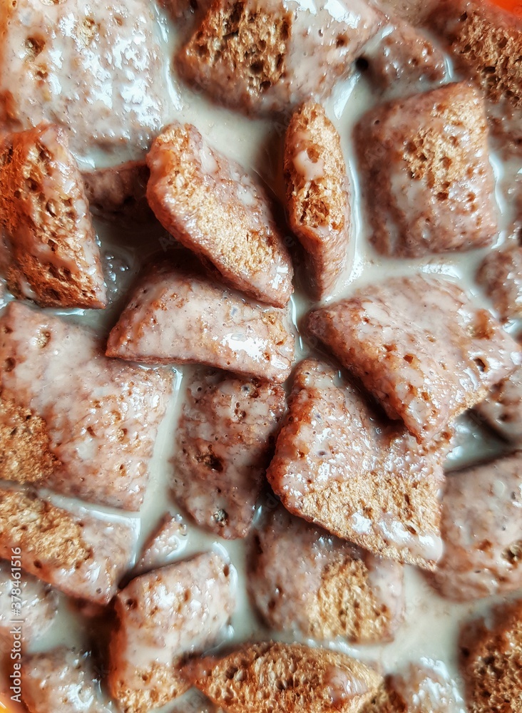 chocolate filled corn flakes in milk as breakfast close up view chocolate filled corn flakes in milk as breakfast close up view