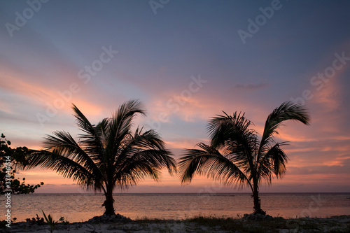 Sunset and Palm Trees  Little Cayman Island