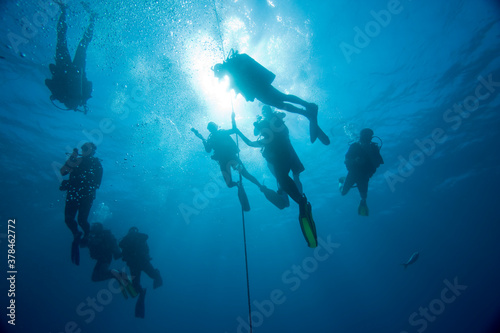 Scuba Divers, Bahamas