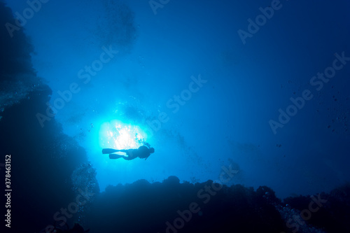 Scuba Diver above Coral Reef, Cayman Islands