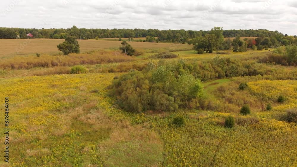 Aerial view of colorful autumn fields and trees . Aerial view of colorful autumn fields and trees .