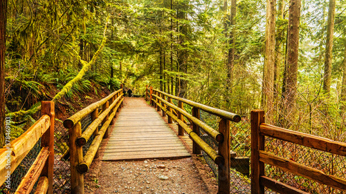 wooden footbridge and natural railings on BC forest trail