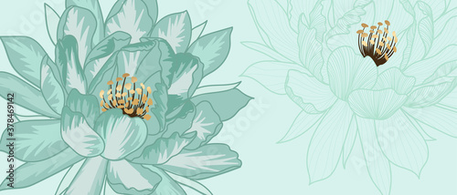 Luxury green background vector with golden metallic decorate in leaf 
