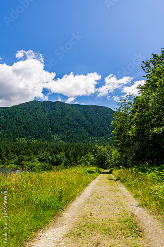 Empty forest road in Golden Ears Provincial Park British Columbia Canada.