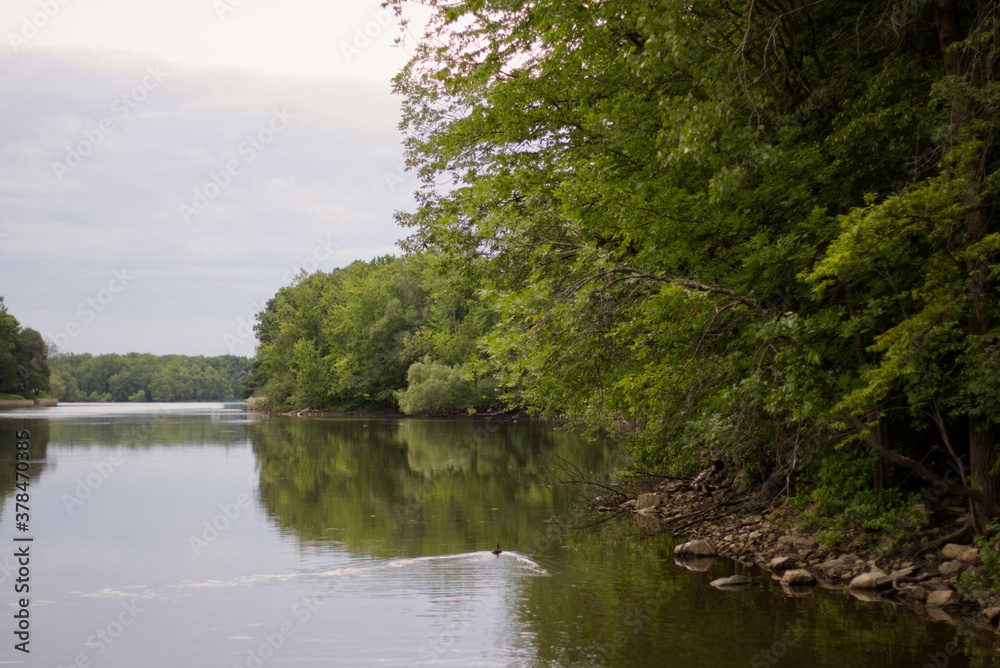 Reflection of mature trees by the river at dusk