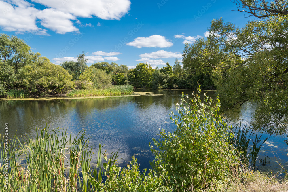 Landscape photos taken in the vicinity of the village of Tarkhany