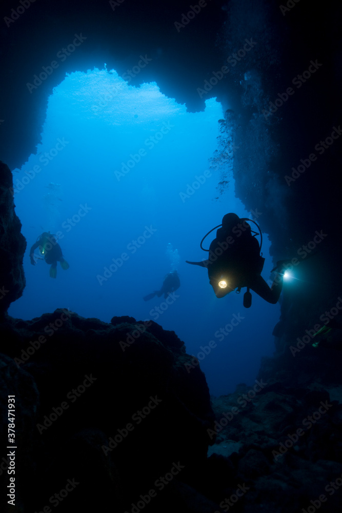 custom made wallpaper toronto digitalScuba Divers in Cave, Galapagos Islands, Ecuador