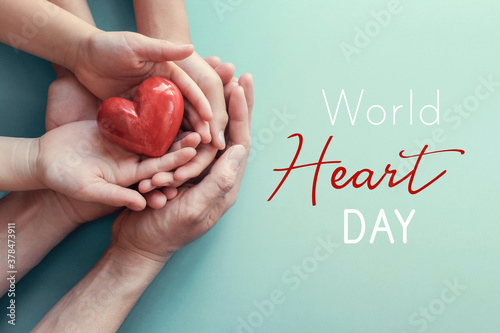 Fototapeta Naklejka Na Ścianę i Meble -  adult and child hands holding red heart , world heart day
