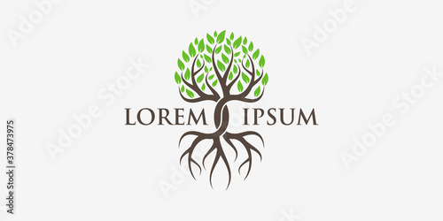 tree and roots logo design elements. Green Garden Vector Logo Template and business card design
