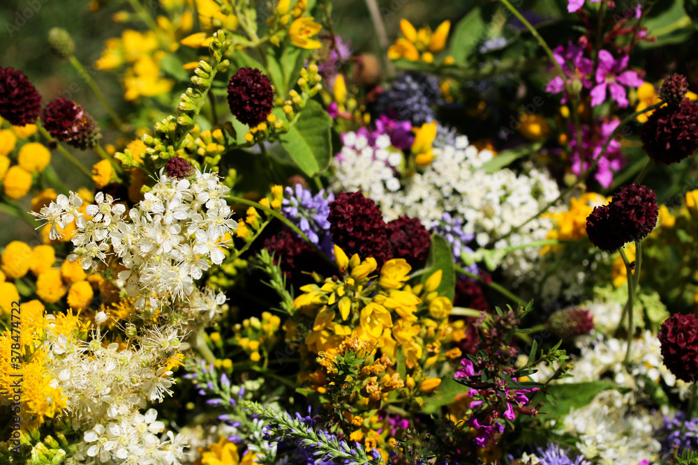 Obraz premium Summer bouquet of wild field flowers from the meadow. Beautiful florals on sunny day.