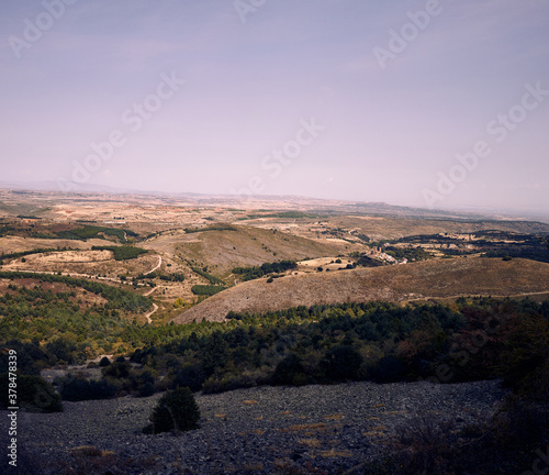 
moncayo beech forest photo