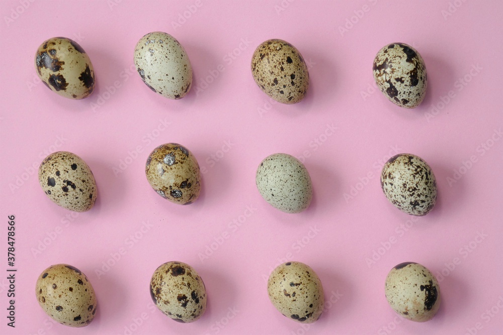 Quail eggs. Egg pattern.Quail eggs set on a light pink background.Egg 
protein. Natural bio eggs.Protein product.