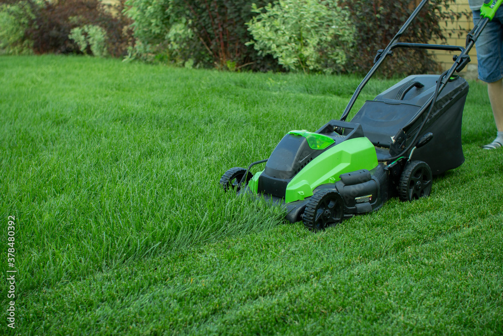 Lawn mower on a green lawn. Lawn mower on a green lawn.