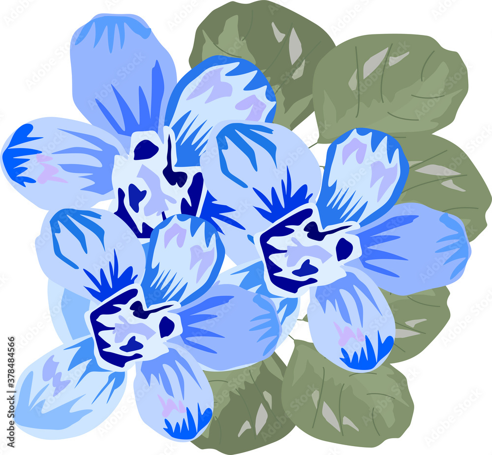 blue flowers with leaves are very delicate like forget-me-nots, vector drawing blue flowers with leaves are very delicate like forget-me-nots, vector drawing