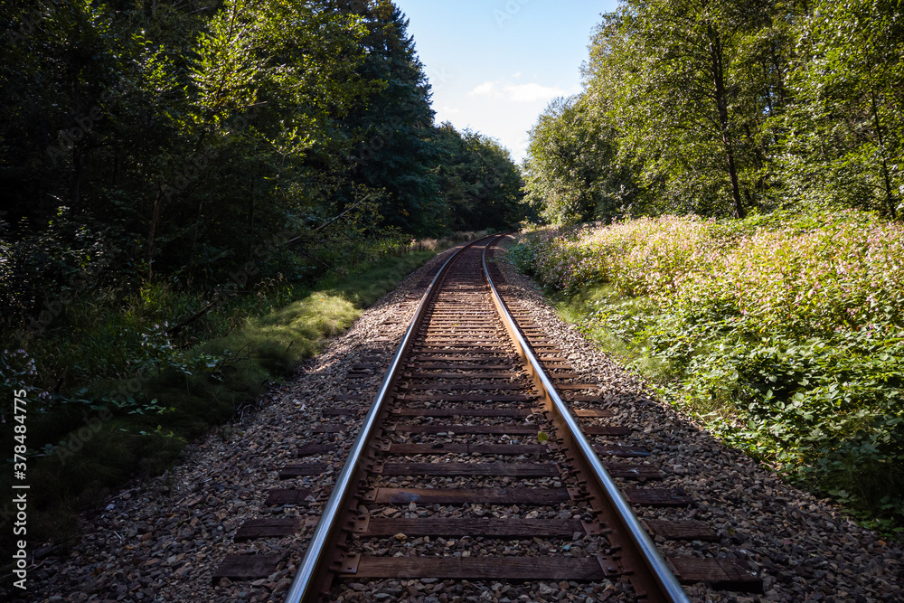 long stretching railroad on a sunny day surrounded by green bushes and trees on both sides