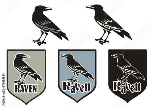 Vector illustration of raven, logo design with raven, black raven. Emblem with raven
