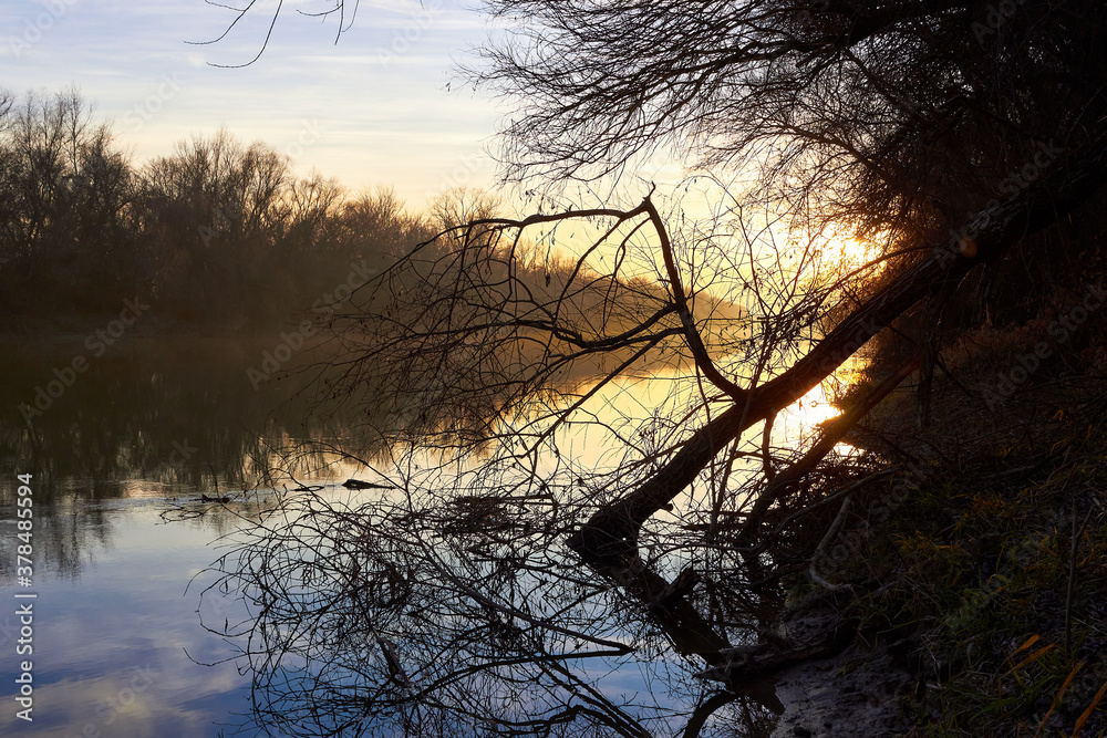 Bank of the Danube river with trees in late autumn at sunset