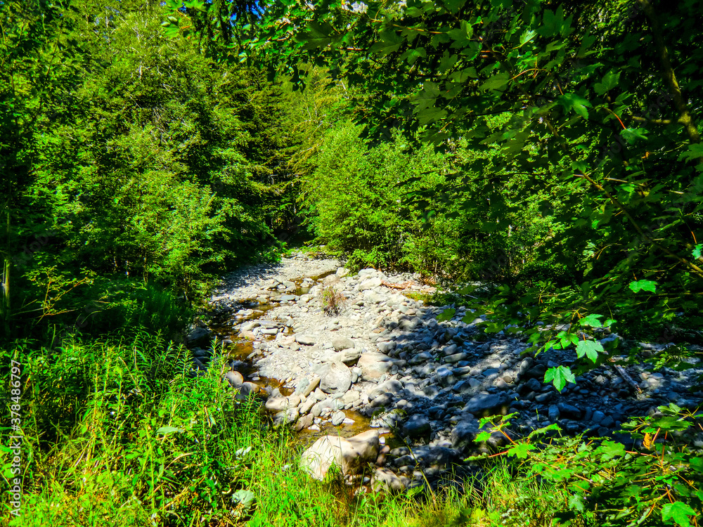 Fototapeta premium Lago Nero, in the mountains of Abetone, Pistoia, Tuscany, Italy, in summer.