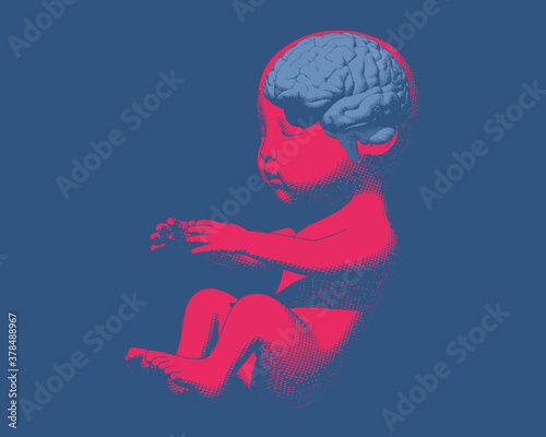 Human fetus with brain demostration on blue BG