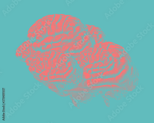 Abstract group of brains in human shape on green BG