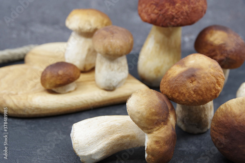 Boletus mushrooms prepared for cooking. Boletus on a wooden tray. Boletus edulis. Closeup