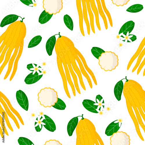 Vector cartoon seamless pattern with Citrus Buddha's hand exotic fruits, flowers and leafs on white background