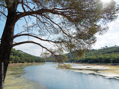 Nice out-and-back walk twisting along Carcès lake or lake of sainte Suzanne lined with trees and wildflower when the water level is low during dry period photo